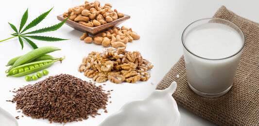 The New Fancy DAIRY FREE MILKS - The Alternatives