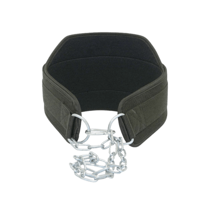 Dip Belt (1)