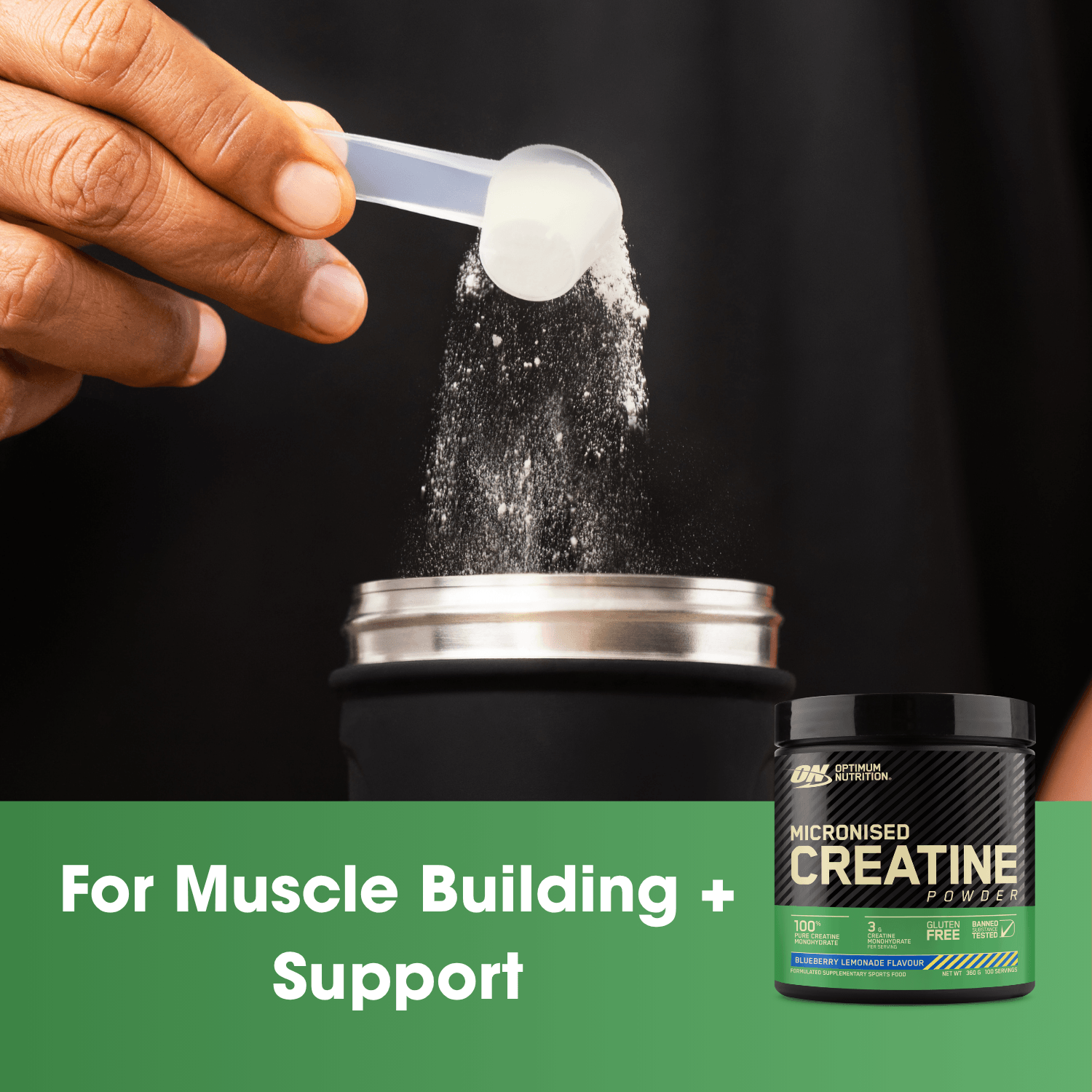 Optimum Nutrition Micronized Creatine