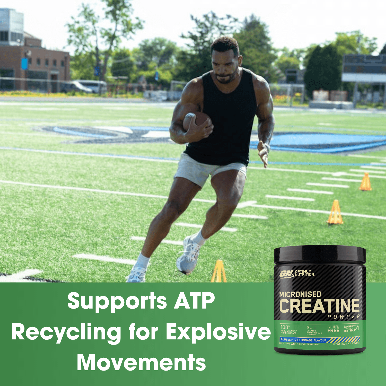 Optimum Nutrition Micronized Creatine