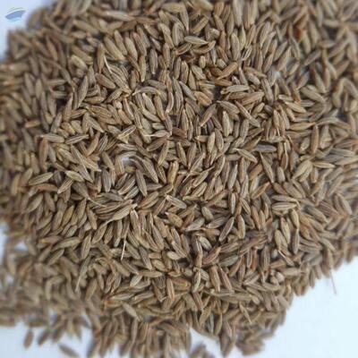 resources of Cumin Seeds exporters