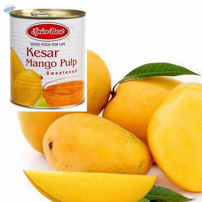 resources of Mango Pulp exporters