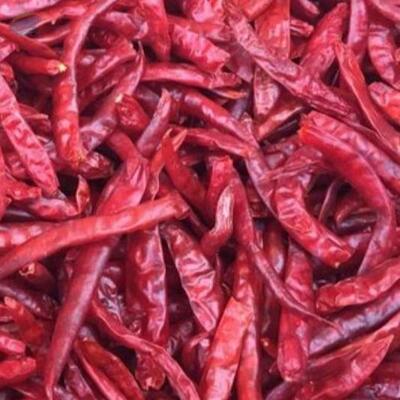 resources of Dry Red Chilli exporters