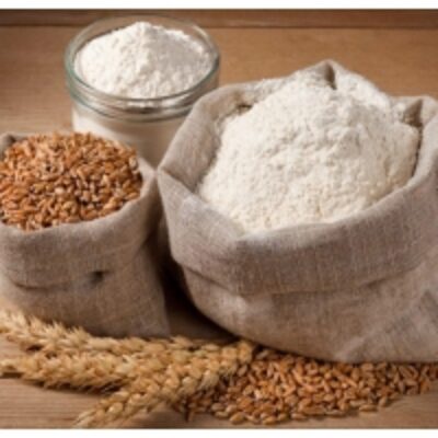 Teff Flour Exporters, Wholesaler & Manufacturer | Globaltradeplaza.com