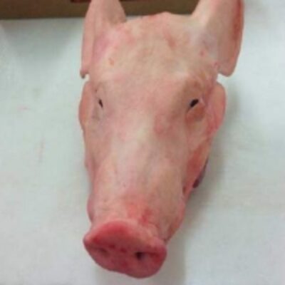 Buy Frozen Pork Head Pork Exporters, Wholesaler & Manufacturer | Globaltradeplaza.com