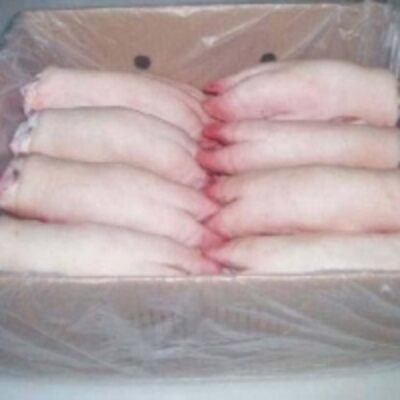 Frozen Pork Hind Feets Exporters, Wholesaler & Manufacturer | Globaltradeplaza.com