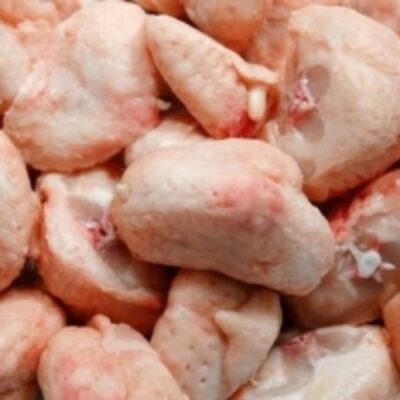 Frozen Chicken Tails Exporters, Wholesaler & Manufacturer | Globaltradeplaza.com