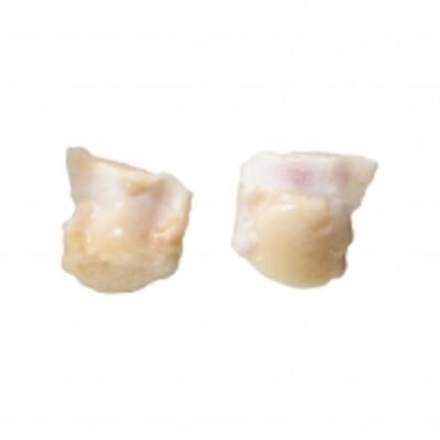 Chicken Knee Soft Bone Exporters, Wholesaler & Manufacturer | Globaltradeplaza.com