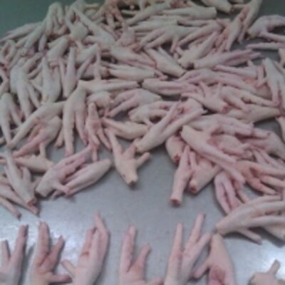 Frozen Chicken Paws Exporters, Wholesaler & Manufacturer | Globaltradeplaza.com