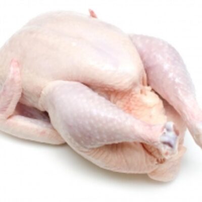 Frozen Whole Chicken Exporters, Wholesaler & Manufacturer | Globaltradeplaza.com