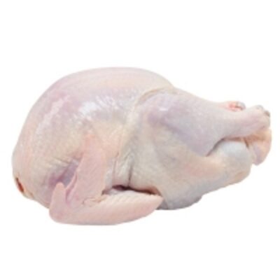 Sadia Frozen Whole Halal Chicken Exporters, Wholesaler & Manufacturer | Globaltradeplaza.com