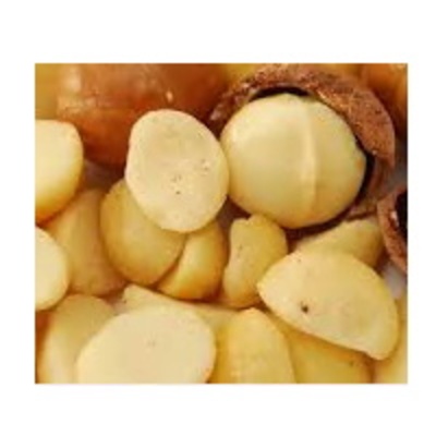 Macadamia Nuts Exporters, Wholesaler & Manufacturer | Globaltradeplaza.com