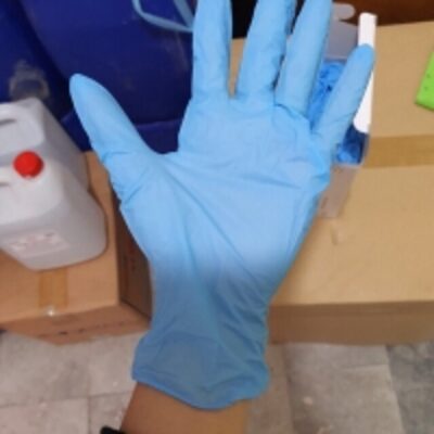 Medical Dolphin Nitrile Gloves Exporters, Wholesaler & Manufacturer | Globaltradeplaza.com
