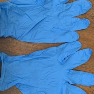 Salon Nitrile Gloves Powder Free Exporters, Wholesaler & Manufacturer | Globaltradeplaza.com