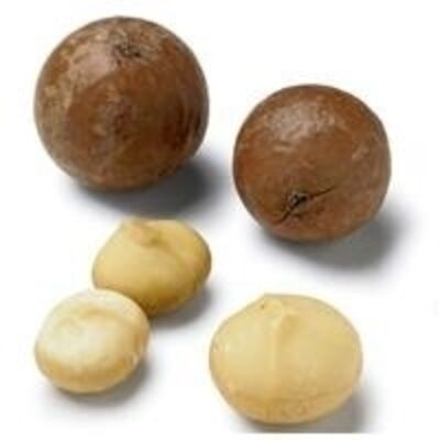 resources of Macadamia Nuts: Halves, Raw Per Mt exporters