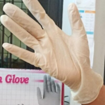Sterile Surgical Examination Gloves Exporters, Wholesaler & Manufacturer | Globaltradeplaza.com
