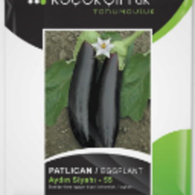 resources of Eggplant exporters