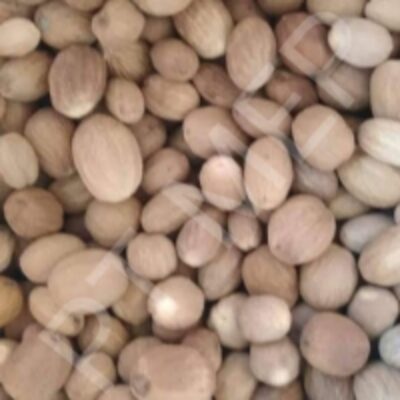 resources of Whole Nutmeg Without Shell exporters