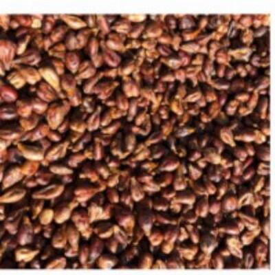 resources of Dried Grape Seeds exporters