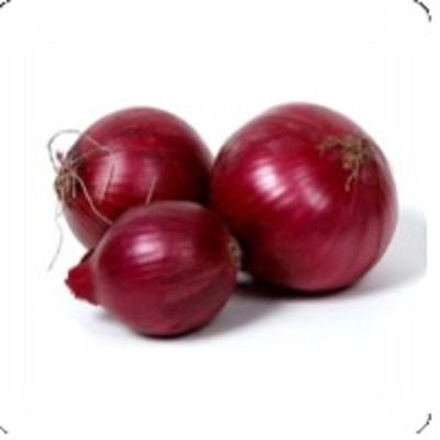 resources of Nasik Onion exporters