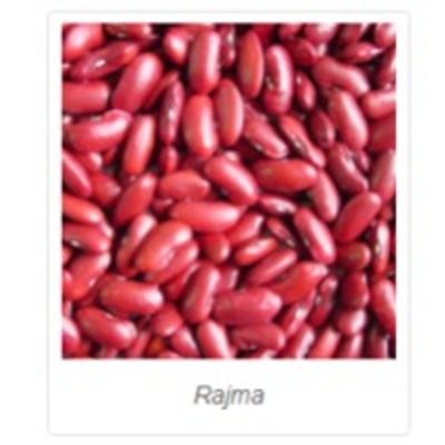 resources of Rajma exporters