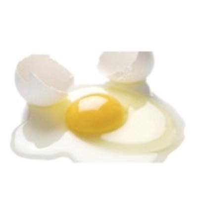 resources of Egg White Powder exporters