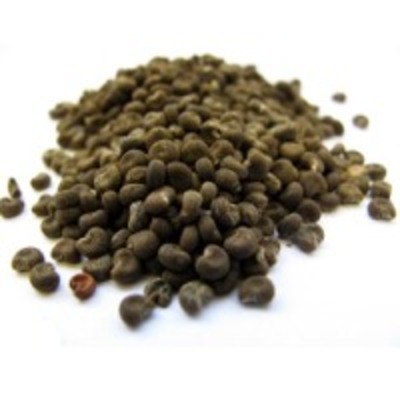 resources of Ambrette Seed Absolute exporters