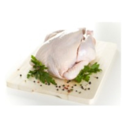 resources of Chicken Meat exporters