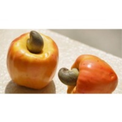 resources of Cashew Apple Pulp exporters