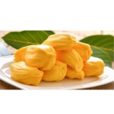 resources of Jackfruit Pulp exporters