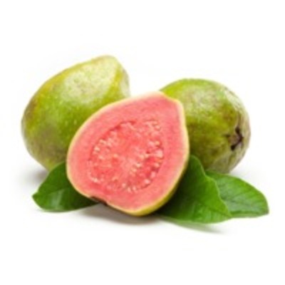 resources of Guava Puree &amp; Concentrate exporters