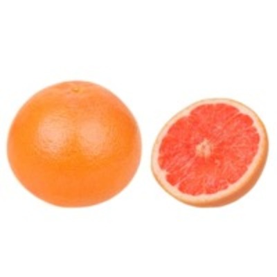 resources of White &amp; Pink Grapefruit Puree &amp; Concentrate exporters