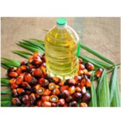 resources of Palm Oil exporters