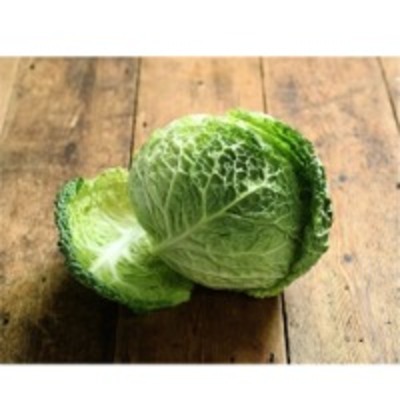 resources of Cabbage Puree exporters