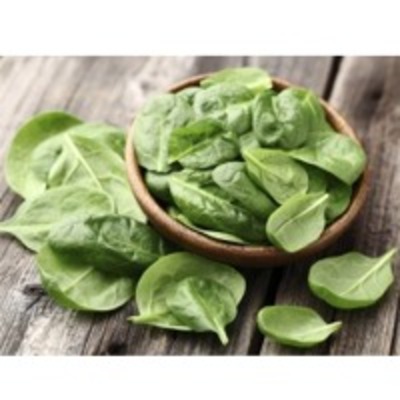 resources of Spinach Puree exporters