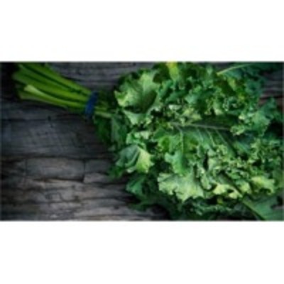 resources of Kale Puree (Equivalent To Cucumber) exporters