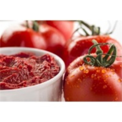 resources of Tomato Paste (Cold Break &amp; Hot Break) exporters