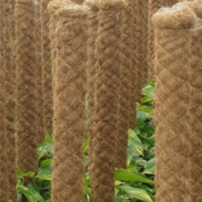 resources of Coco Pole exporters