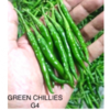 Green Chilli Exporters, Wholesaler & Manufacturer | Globaltradeplaza.com