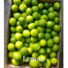 Lemon Exporters, Wholesaler & Manufacturer | Globaltradeplaza.com