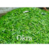 Okra Exporters, Wholesaler & Manufacturer | Globaltradeplaza.com