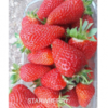 Strawberry Exporters, Wholesaler & Manufacturer | Globaltradeplaza.com