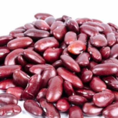 resources of Red Kidney Bean exporters