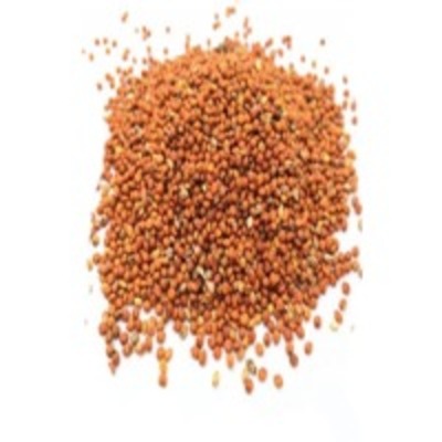 resources of Red Millet exporters