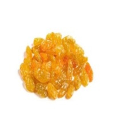 resources of Golden Raisins exporters