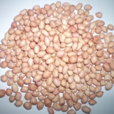 resources of Java Peanuts exporters