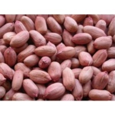 resources of Bold Peanuts exporters