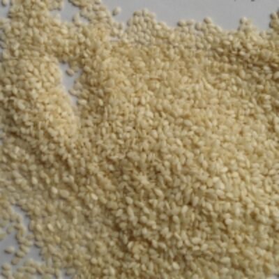 resources of Hulled Sesame Seeds Indian Origin exporters
