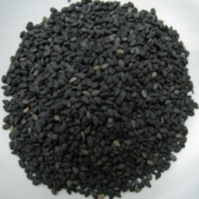 resources of Black Sesame Seeds Indian Origin exporters