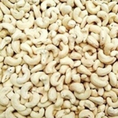 Cashew Exporters, Wholesaler & Manufacturer | Globaltradeplaza.com